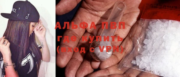 apvp Гусев