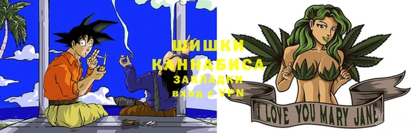 apvp Гусев