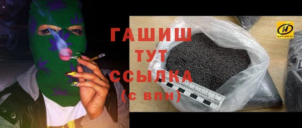 apvp Гусев