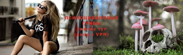 прущие крисы Гусь-Хрустальный