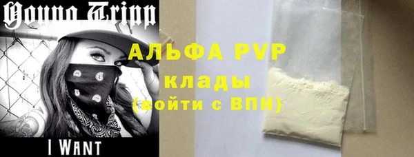 apvp Гусев
