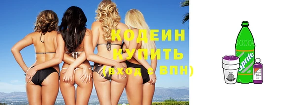 apvp Гусев