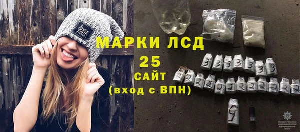 apvp Гусев