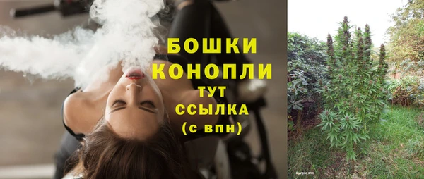 apvp Гусев