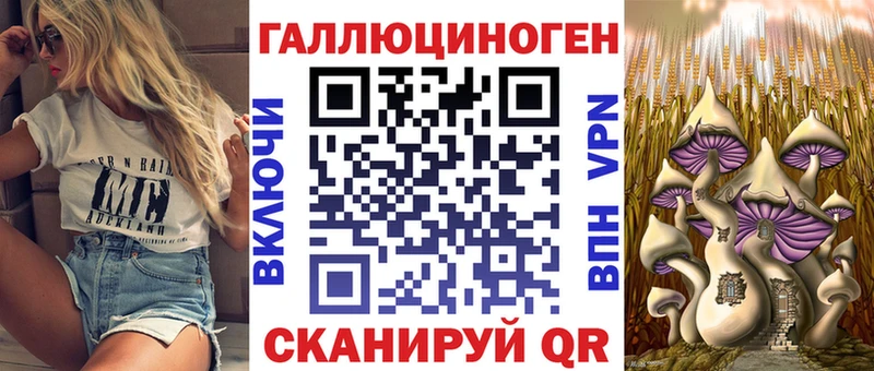 Купить Тамбов Псилоцибиновые грибы Psilocybe