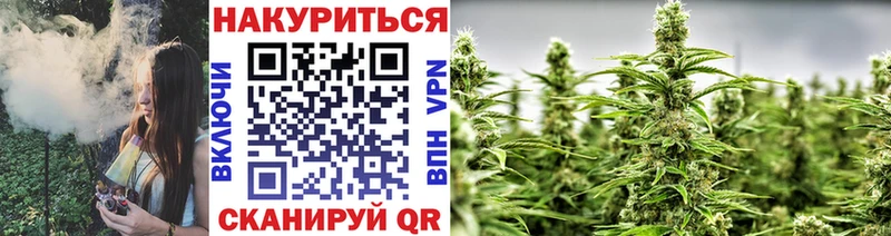 Купить где  Тамбов  Каннабис семена 